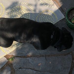 Meet your Posher, Luke